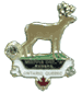 MD"A" Lioness 2002 Deer Pin