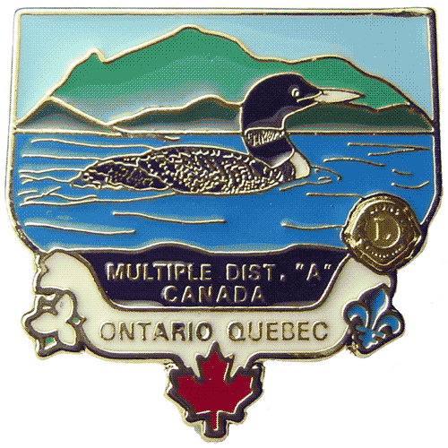 Lions Loon Pin