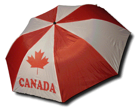Lions Maple Leaf umbrella